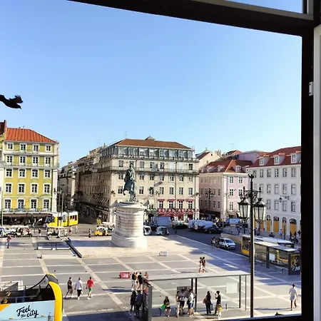 Figueira In Beira Minho 리스본